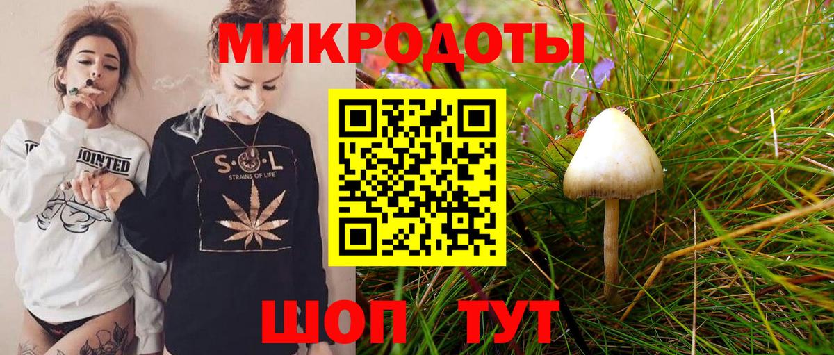 Галлюциногенные грибы Magic Shrooms Новодвинск