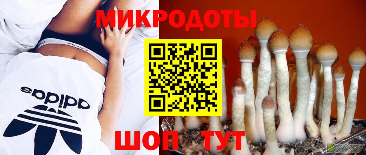 Новодвинск  Псилоцибиновые грибы GOLDEN TEACHER  Вход с VPN  Псилоцибиновые грибы GOLDEN TEACHER 
